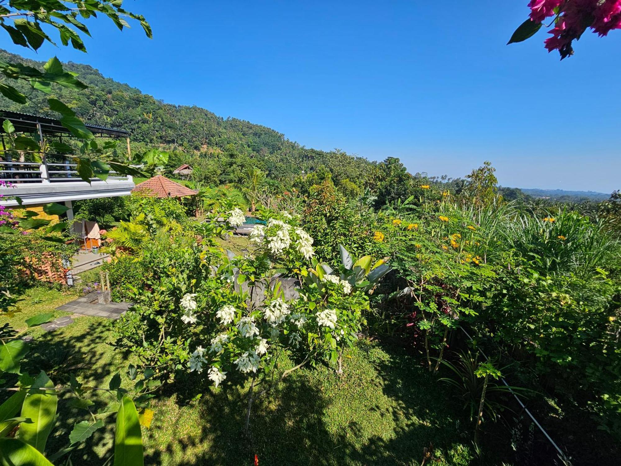 Villa Markisa Pakisan Sawan Extérieur photo